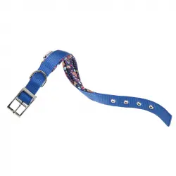 Collar Nylon Daytona C Blue para perros Ferplast, Tallas 35 - 43 Cms