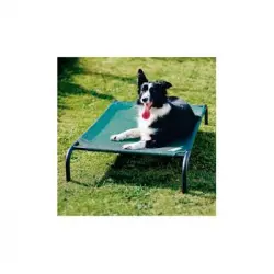 Cama Mascota M Verde 110x65x20cm Marca Colaroo