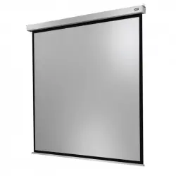 Celexon Electric Professional Plus Pantalla de Proyección Eléctrica 120x120cm
