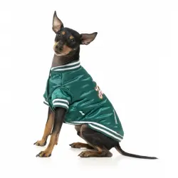 Chaqueta para perros FuzzYard Fastball Verde Talla 4