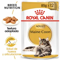 Royal Canin Maine Coon Pouch. Comida húmeda raza, Unidades 12 unidades 85 gr