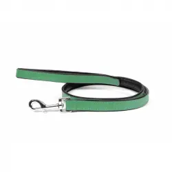 Correa Gloria Pets De Piel Acolchado Color Verde Para Perros 1 Unidad.