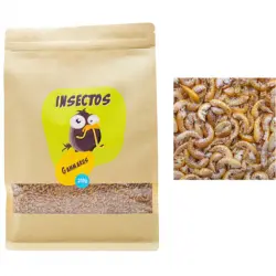 Gammarus Deshidratados para Tortugas, Peces, Aves, Reptiles y Roedores 35g – Aperitivo para Mascotas con Alto Contenido en Proteínas