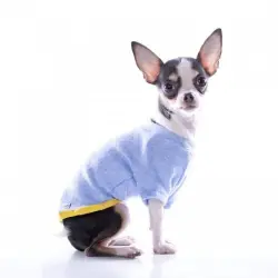 Camiseta Nun Home para perros color Azul Claro