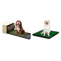 Petground empapador de césped natural para perros