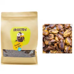 Gusanos de Seda Deshidratdos 350 g– Alimento Complementario para Aves, Peces de Estanque y Reptiles – Proteínas Naturales para Tus Mascotas