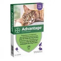 Ventaja 80 - 4 Pipetas Antiparasitarias - Para Gatos Y Conejos De 4 Kg Y Más