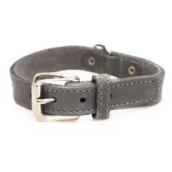 TK-Pet Namur Collar de Cuero Gris para perros