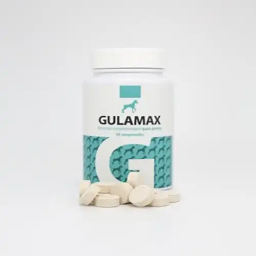 Complemento alimenticio para perros Farbiol Gulamax