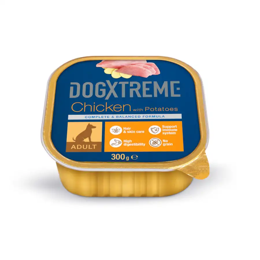 Dogxtreme Adult Pollo y Patatas tarrina para perros