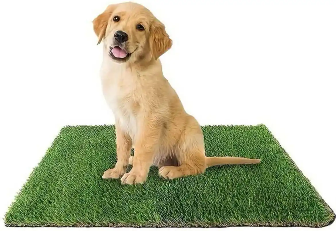 EMPAPADOR REUTILIZABLE ALFOMBRA ENTRENAMIENTO PIPI PARA PERRO CÉSPED ARTIFICIAL PETPLUS