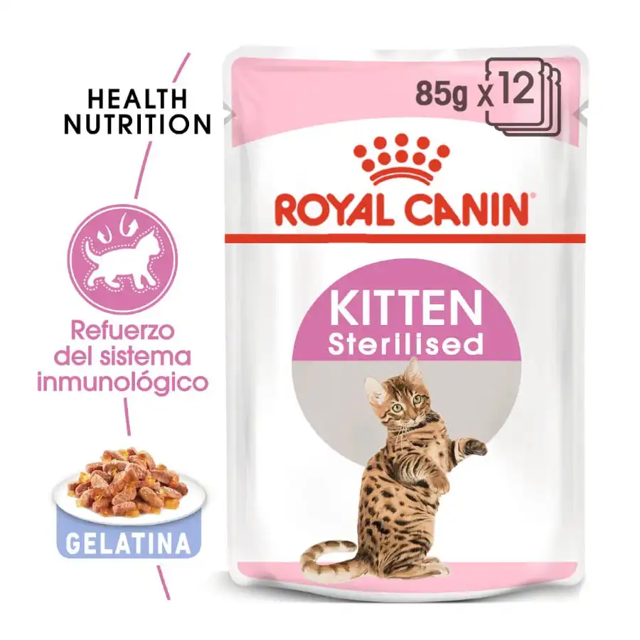 Royal Canin Kitten Sterilised gelatina para gatos