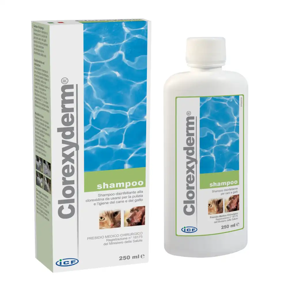 Champú Clorexyderm - 250 ml