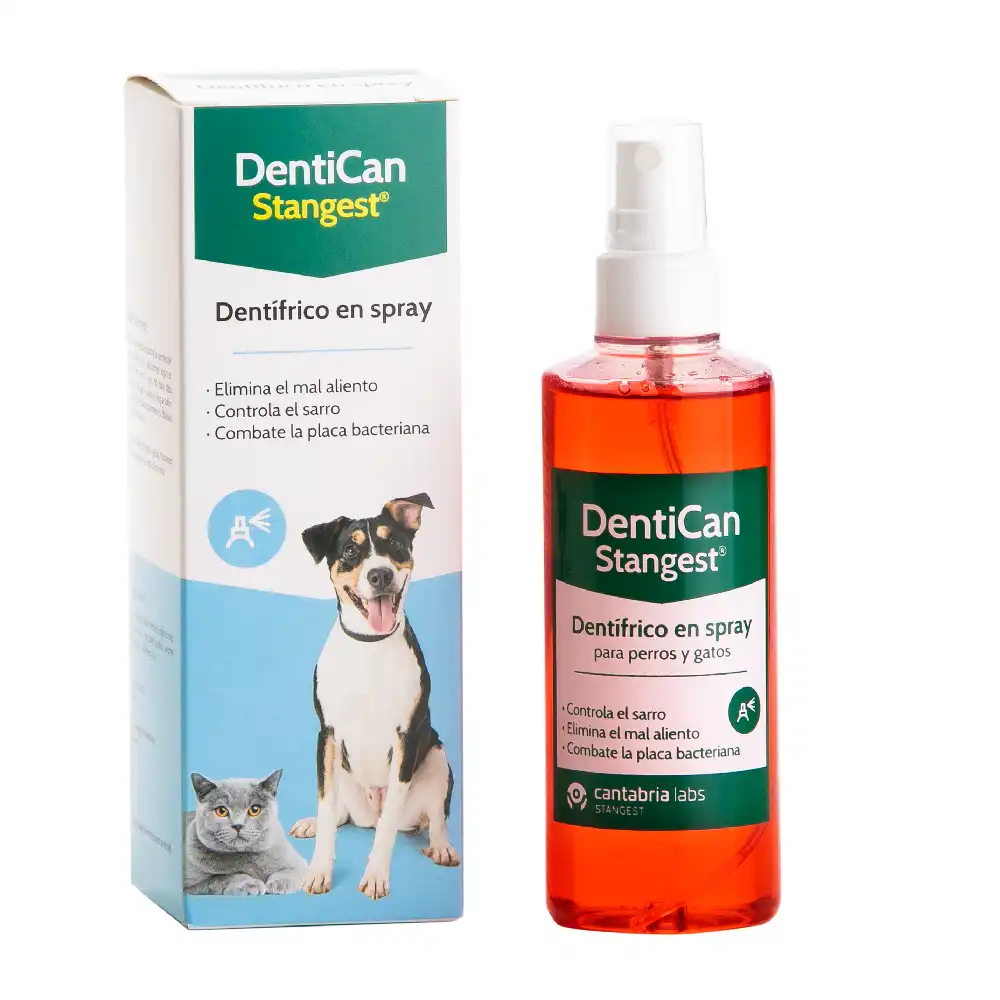 Dentican spray