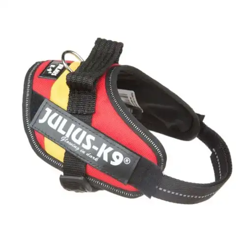 Julius K9 IDC España Arnés ergonómico para perros