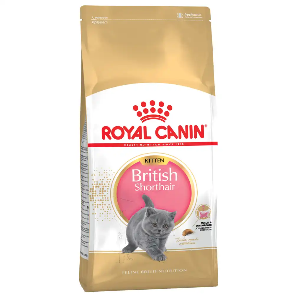 Royal Canin Kitten British Shorthair - 10 kg