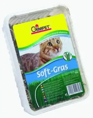 Gimcat Soft-Gras hierba para gatos