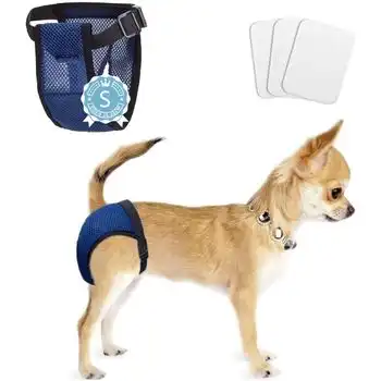 Pañales Para Perros, Pantalones Protectores Lavables Con 3 Toallas Sanitarias, Calzoncillos Higiénicos Nobleza Talla M