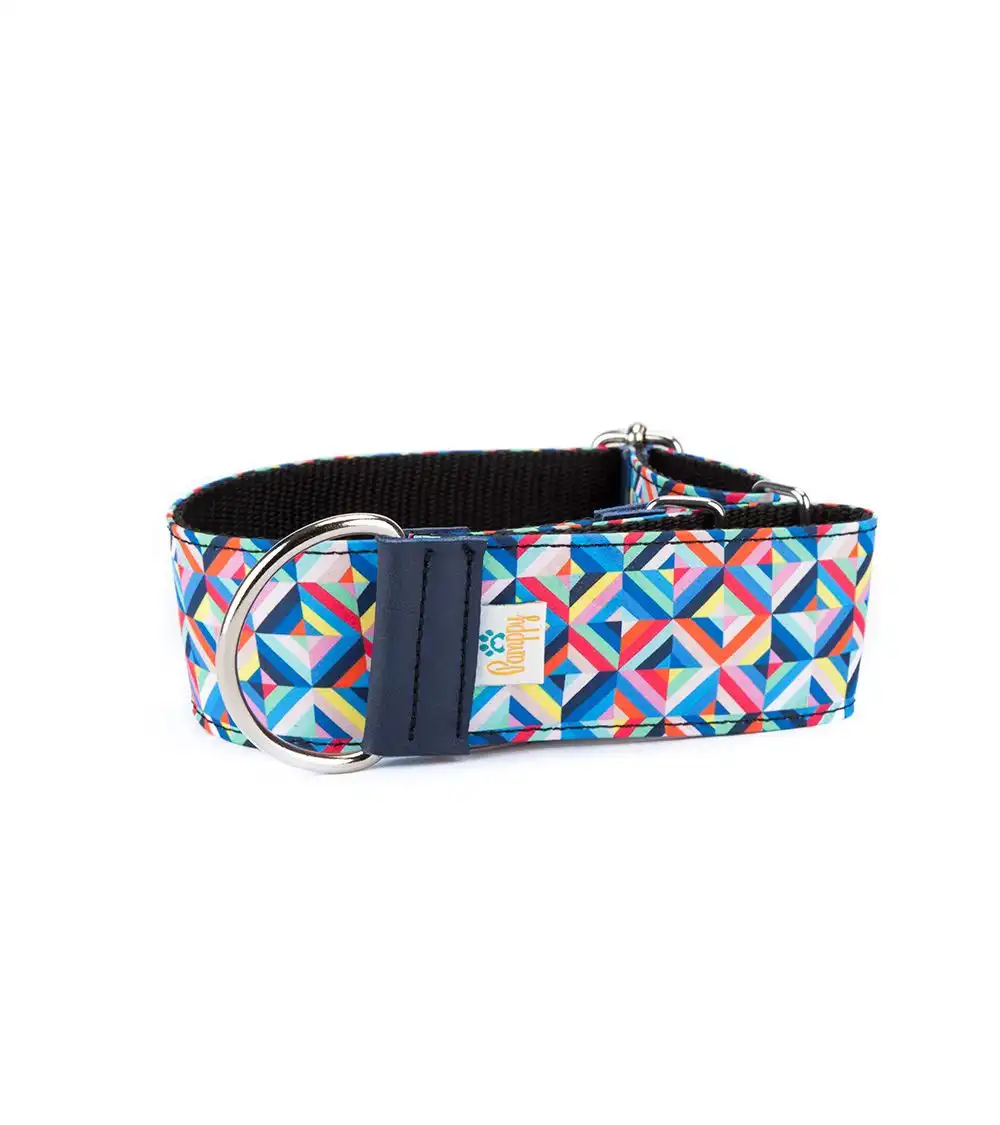 Pamppy galgo speedy psychedelic collar regulable multicolor para perros