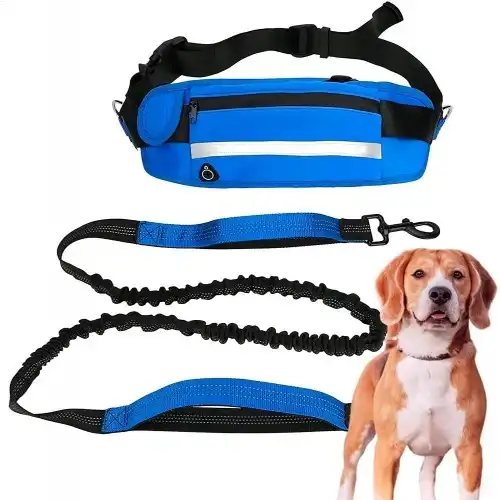 Edipets correa canicross reflectante manos libres con riñonera azul celeste para perros