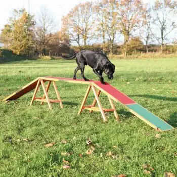 Trixie Pasarela Para Agility