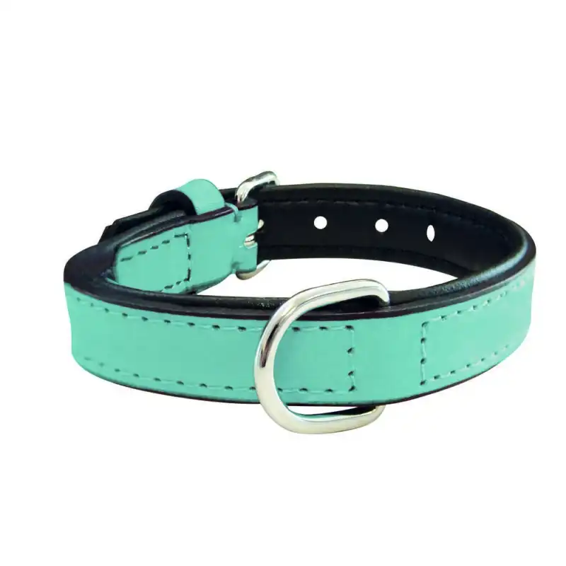 Collar Gloria Pets De Piel Acolchado Color Azul Para Perros 30cm x 15mm