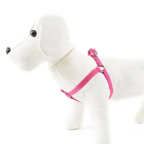 Arnés para perros Basic Fucsia Talla M