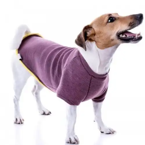 Sudadera nun neopreno para perros color Berenjena