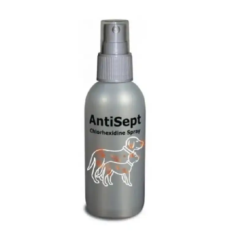 Dechra Desinfectante Antisept - 100 Ml (Clorhexidina Spray)