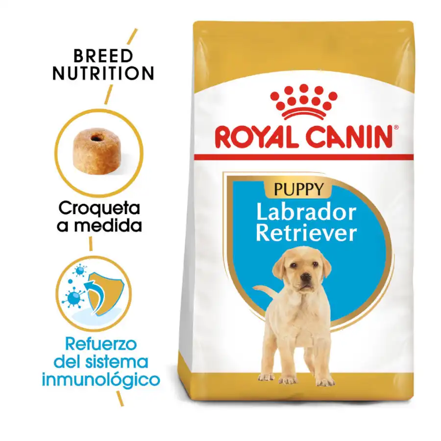 Royal Canin Puppy Labrador Retriever pienso para perros