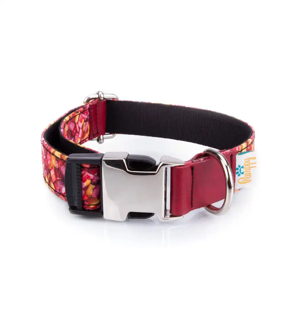 Collar Pamppy Funny caramelos para perros color Multicolor