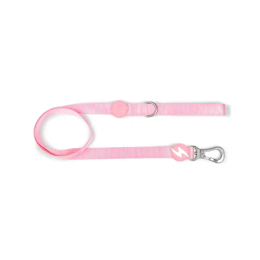 Correa de nylon para perros color Rosa Claro