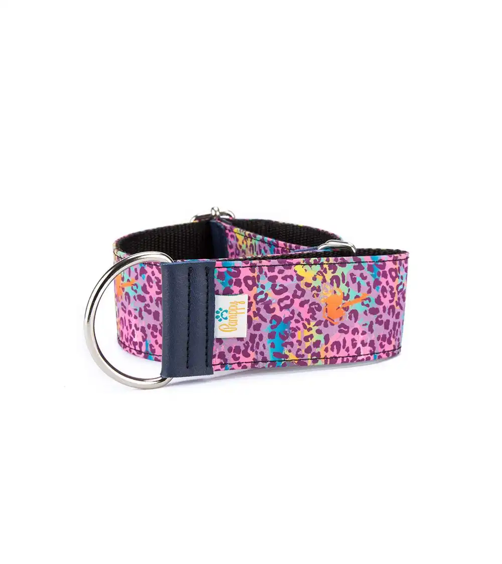 Pamppy galgo speedy collar regulable de leopardo rosa para perros