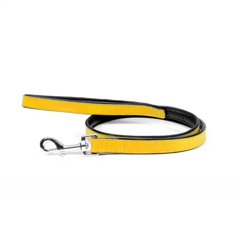 Correa Gloria Pets De Piel Acolchado Color Amarillo Para Perros 1 Unidad.