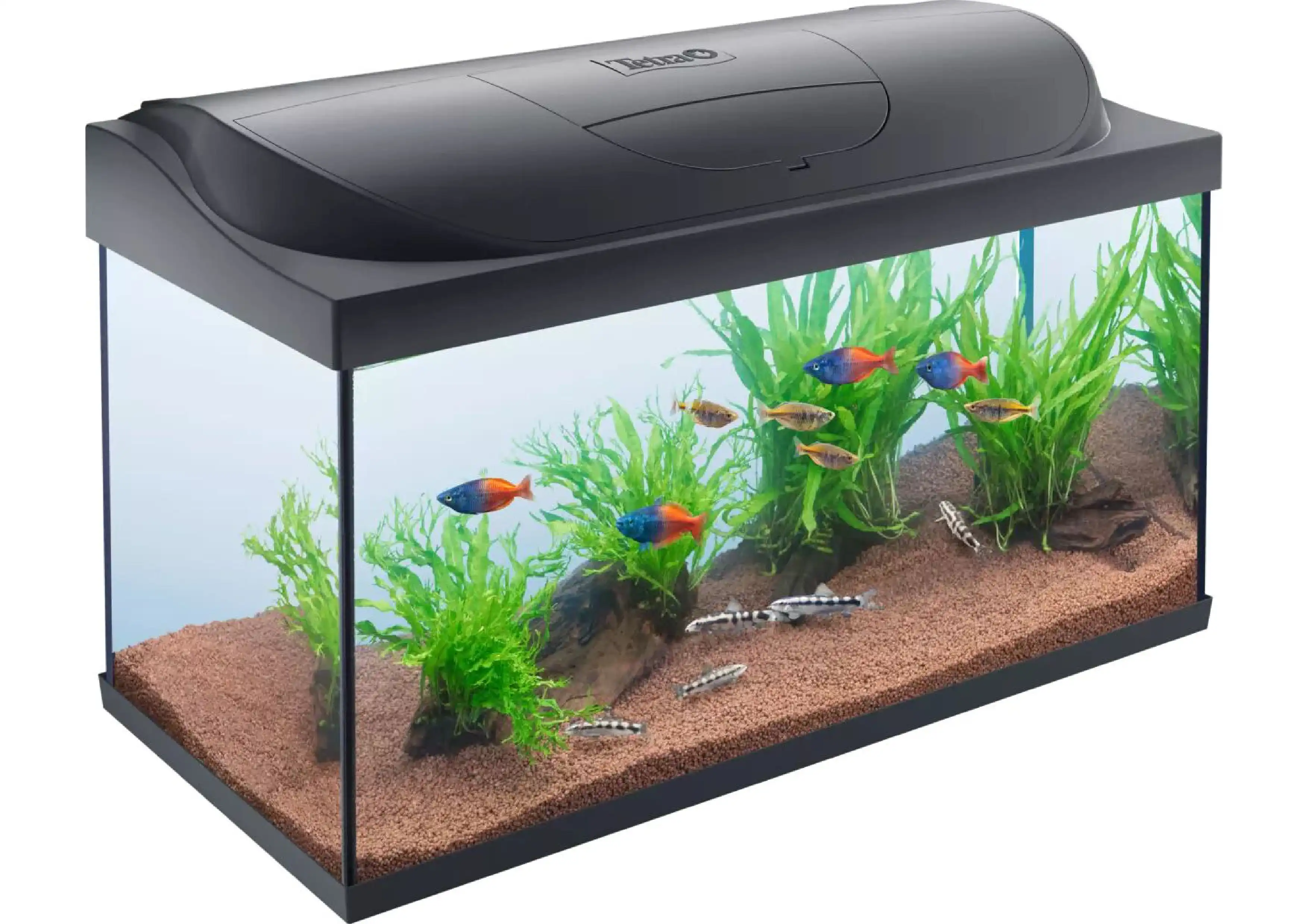 Kit Tetra Starter Line LED Diurna/Nocturna Acuario 80L