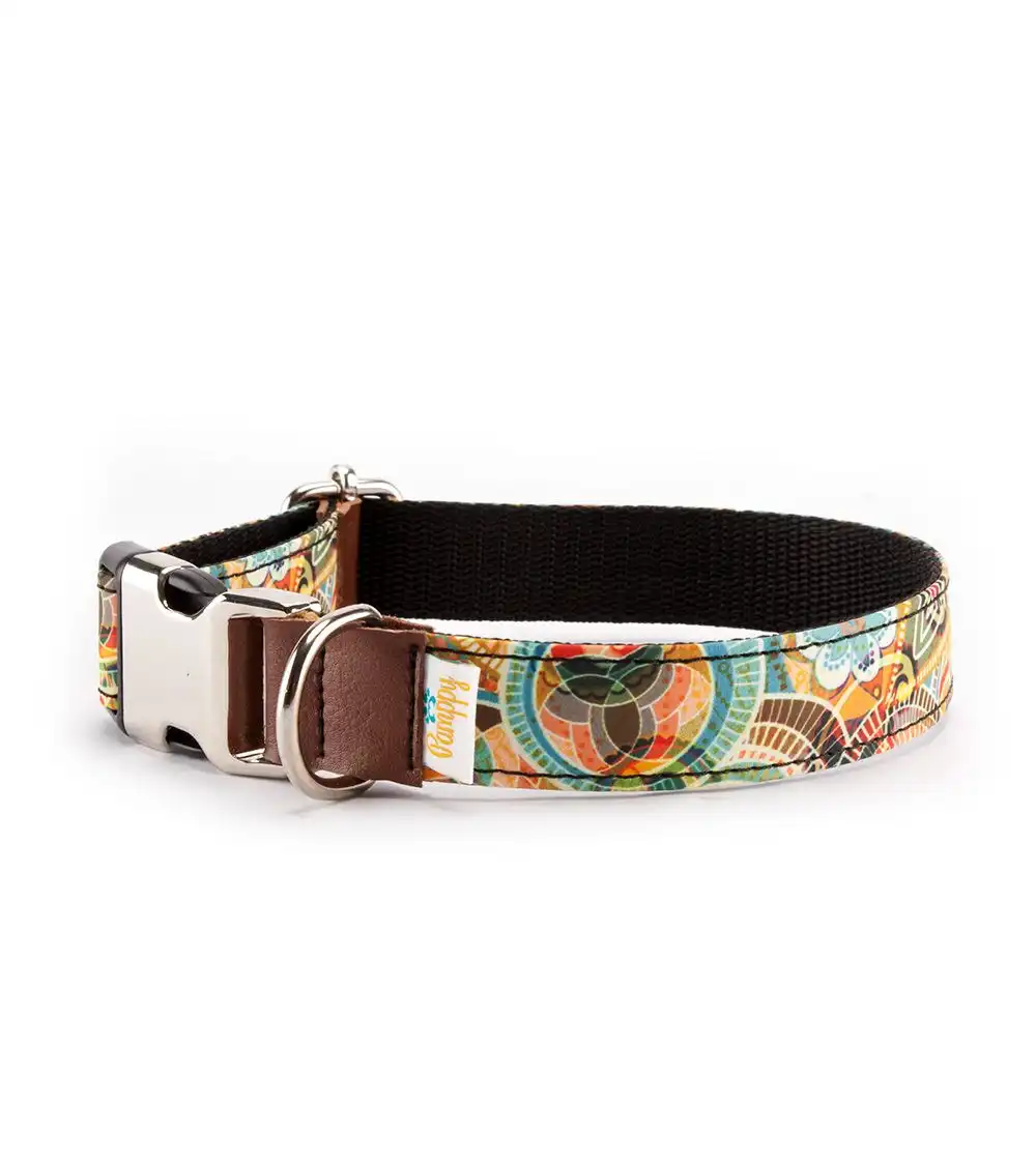 Pamppy funny india collar de algodón y poliéster verde para perros