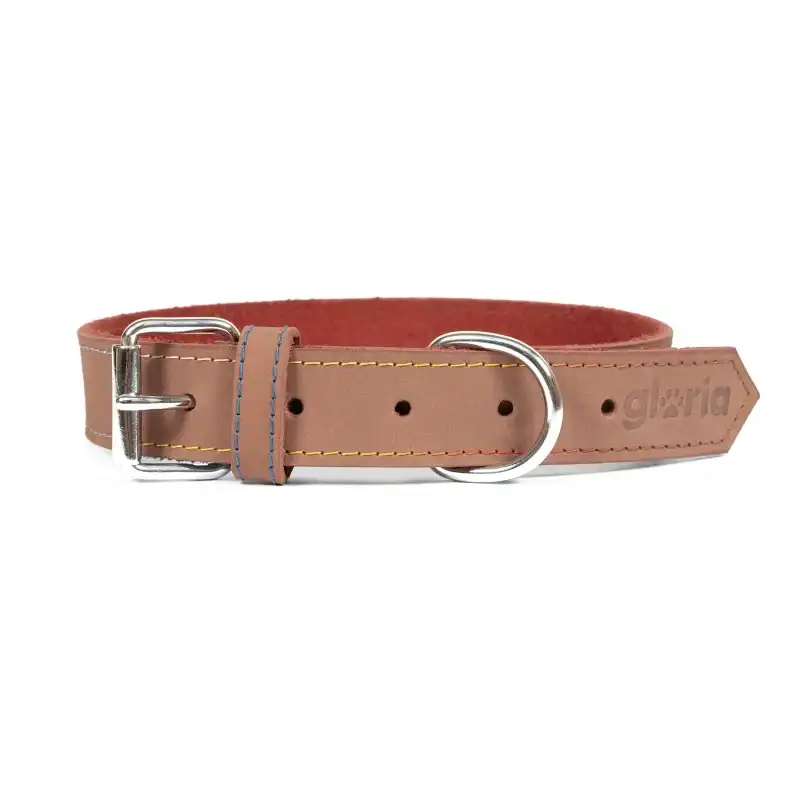 Collar Gloria Pets Nobuk Color Marrón Para Perros 65cm x 30mm