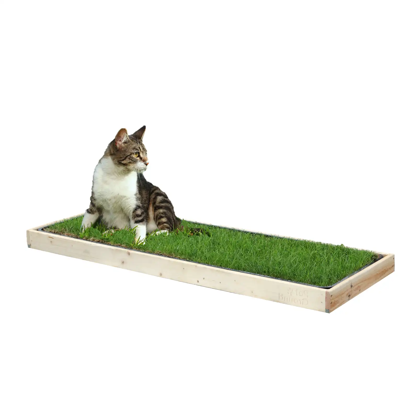 Petground, Cama para gatos, Caja de Madera, Accesorio, Mueble, Standard