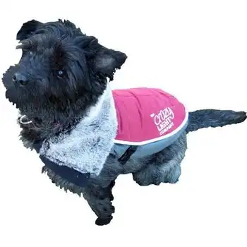 Chaqueta Led De Lujo 15 - Para Perro Rosewood