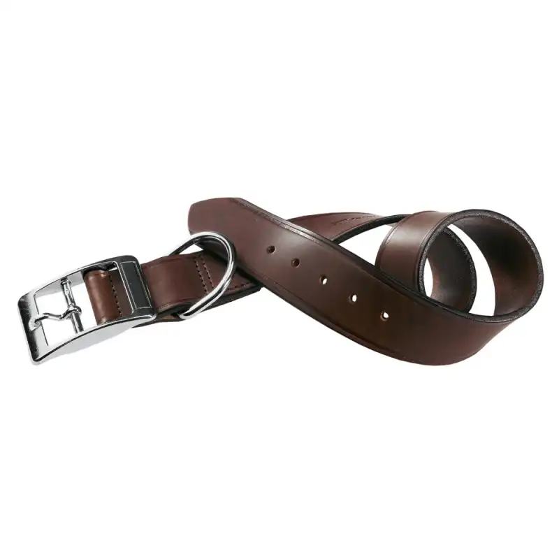 Collar Cuero para perros Toro Vip Ferplast, Tallas 35-43 Cms