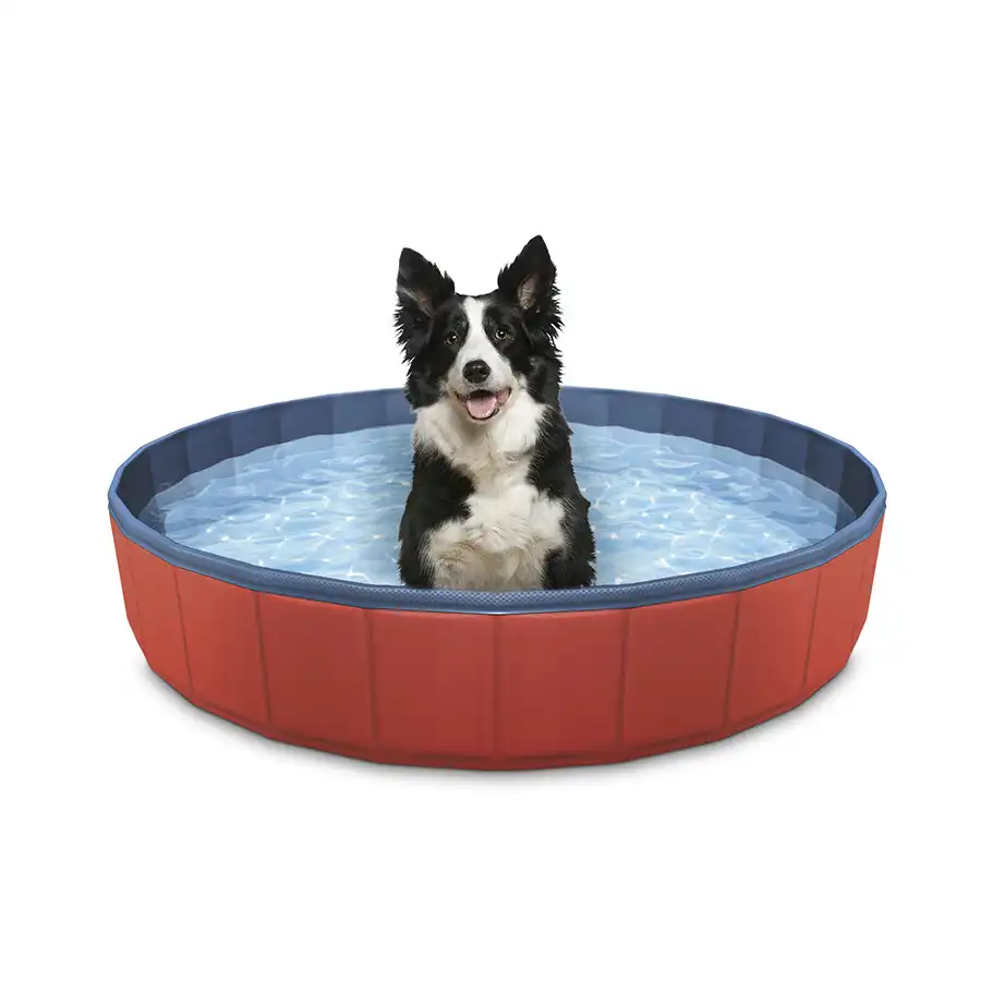 Summer Vibes Piscina para perros