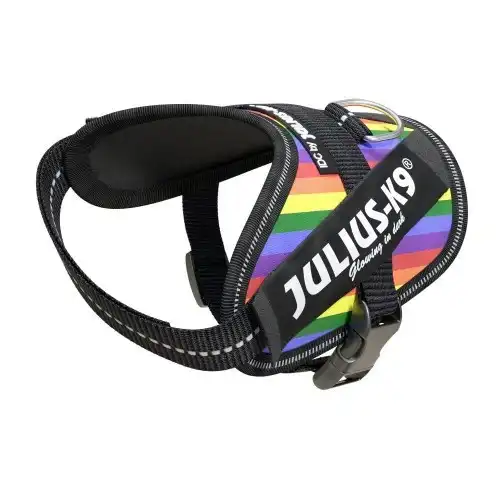 Julius K9 Idc Arnés Power Logo, Talla 0 Piel Artificial - Rainbow