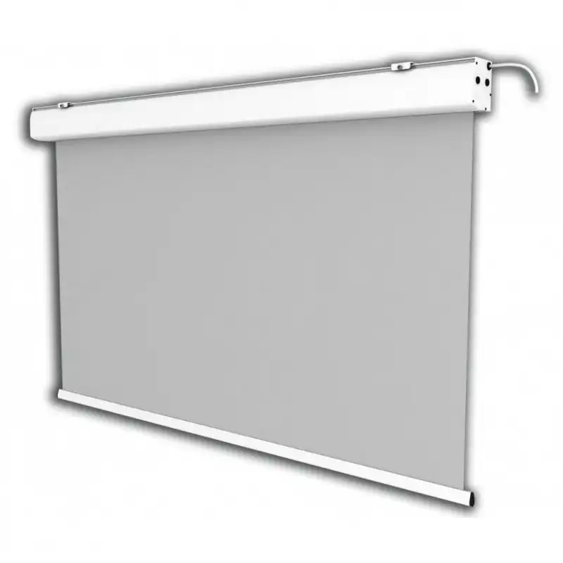 Celexon Expert Pantalla de Proyección Eléctrica 300x187cm