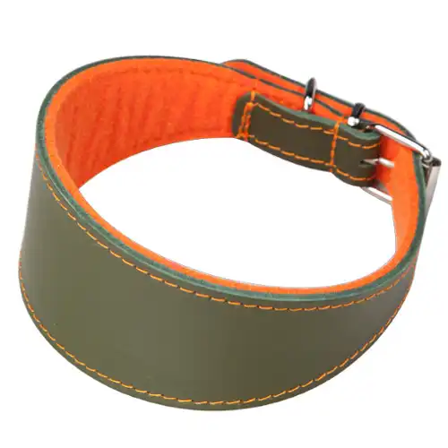 Arppe Superfelt Collar de Cuero Marrón para Galgos