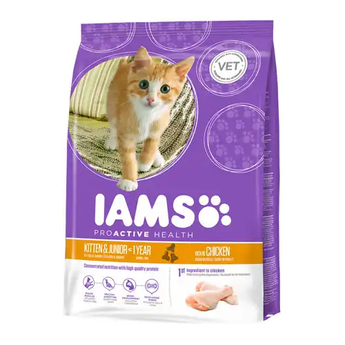 IAMS Kitten&Junior Pollo pienso para gatos