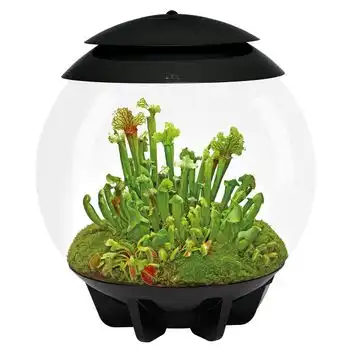 Oase Terrario Automatizado Negro - Air 30 Black