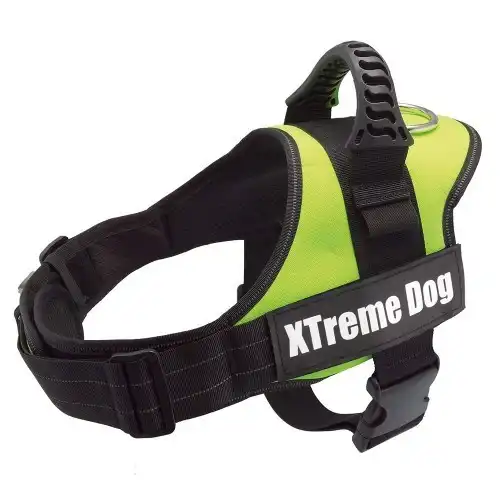 Arnés Xtreme Neón para perros color Verde