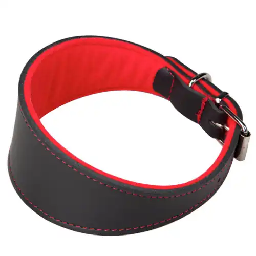 Arppe Superfelt Collar de Cuero Negro para Galgos