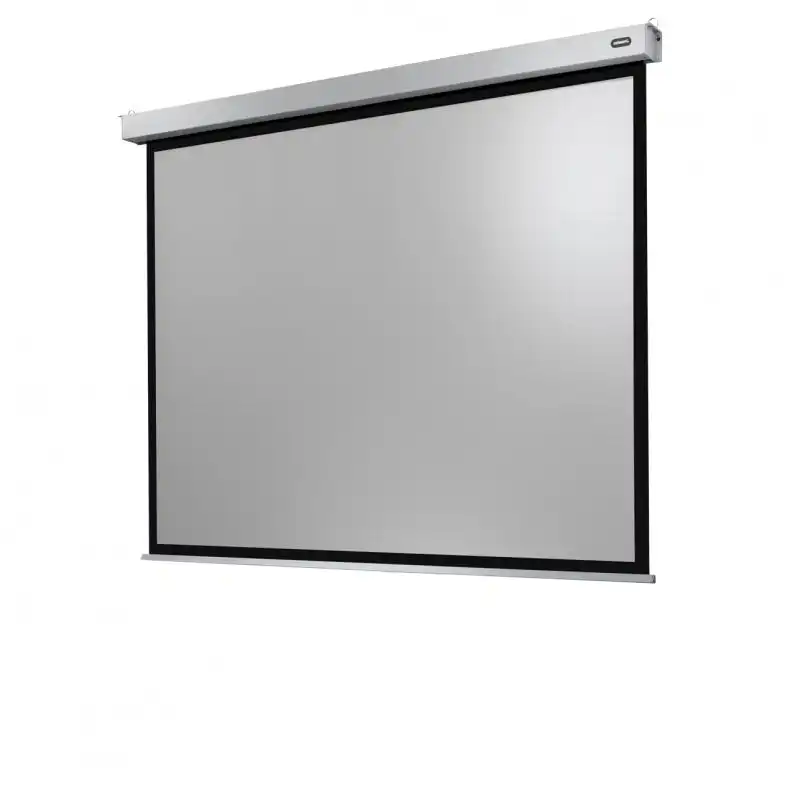 Celexon Electric Professional Plus Pantalla de Proyección Eléctrica 220x165cm