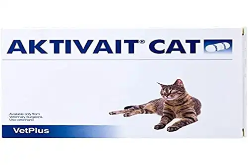 Aktivait Gatos